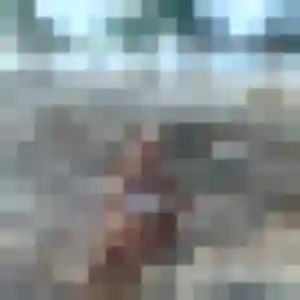 Fabienne, 44 ans, en ligne à Breuillet pour un rencontre cougar