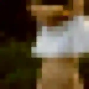 Lucette, 45 ans, cherche un rencontre cougar à Briollay