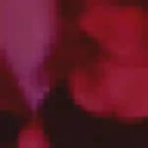 Photo de Nadine à Brison-Saint-Innocent (44 ans) - rencontre cougar discret