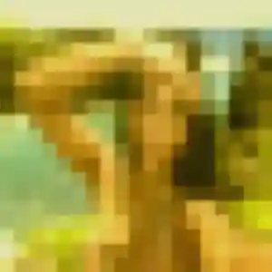 Photo sexy de Sandrine, 51 ans à Broglie - plan discret