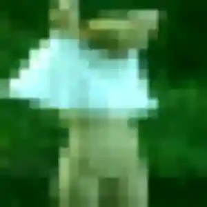 Photo exclusive de Lucette, 51 ans à Brouilla - rencontre sans lendemain
