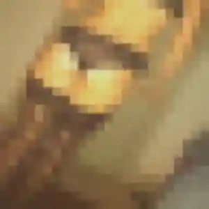 Frederique, 36 ans, disponible à Bruges-Capbis-Mifaget pour une rencontre coquine