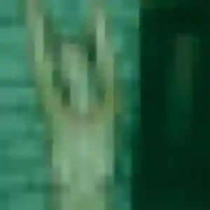 Paulette (44 ans) à Cailly attend une rencontre ce soir