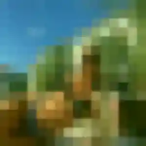Jocelyne, femme de 48 ans cherche rencontre cougar à Campagne-lès-Wardrecques