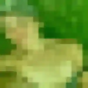 Photo de Liliane à Cancale (39 ans) - rencontre cougar discret