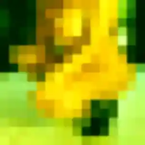 Photo exclusive de Liliane, 35 ans à Cancon - rencontre coquine