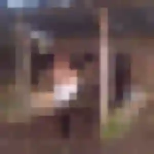 Cecile, 52 ans, cherche un rencontre cougar à Capesterre-Belle-Eau