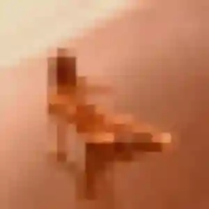 Profil de Fabienne à Caraman (42 ans) - rencontre cougar gratuit