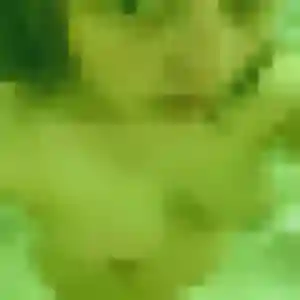 Lydia, 37 ans, dispo pour rencontre cougar à Carantec