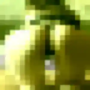 Profil de Corinne à Carantilly (48 ans) - rencontre cougar gratuit