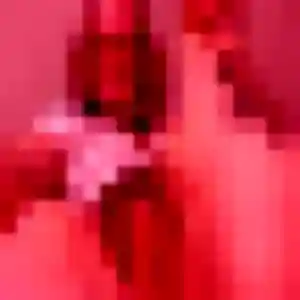 Photo perso de Liliane, 35 ans à Carbon-Blanc - plan discret