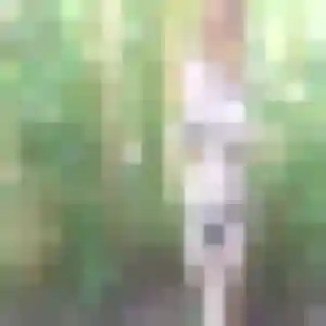 Photo perso de Sophie, 47 ans à Casson - rencontre coquine