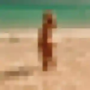 Fabienne, fille de 37 ans veut rencontre cougar à Castellar