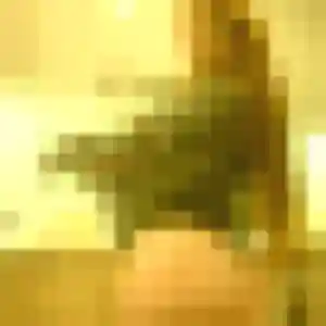 Sandrine, 48 ans, en ligne à Castelnau-Magnoac pour un rencontre cougar