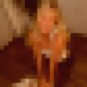 Profil de Claudine à Cauffry (43 ans) - rencontre cougar gratuit