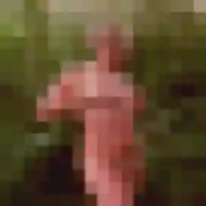 Beatrice, 55 ans, disponible à Cauneille pour une rencontre coquine
