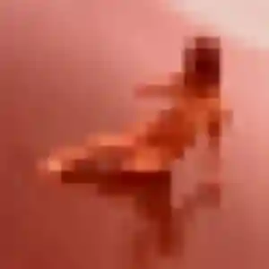 Fabienne, 41 ans, en ligne à Caunes-Minervois pour une rencontre coquine