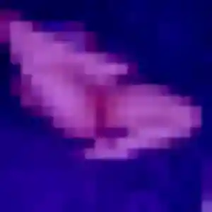 Jolie Stephanie, 48 ans à Cazères-sur-l'Adour - voir sa photo