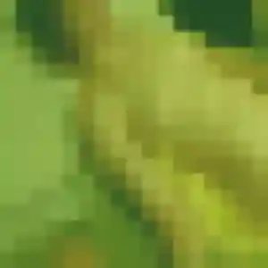 Profil de Marguerite à Cergy (49 ans) - rencontre cougar gratuit