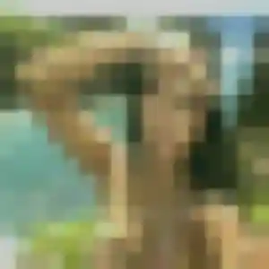 Sandrine (35 ans) à Cescau propose une rencontre ce soir