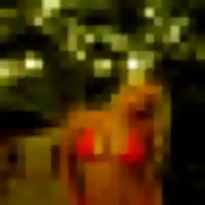 Profil de Marie-France à Chagey (53 ans) - rencontre cougar anonyme