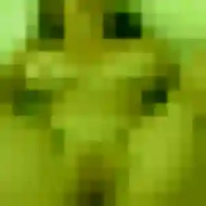 rencontre cougar à Challuy : profil de Genevieve, 44 ans - inscription gratuite
