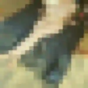 Danielle, 50 ans, en ligne à Chalmoux pour un rencontre cougar
