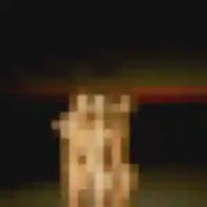 Photo perso de Ginette, 53 ans à Châlons-du-Maine - rencontre coquine