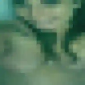 Profil de Liliane à Chambois (47 ans) - rencontre cougar gratuit