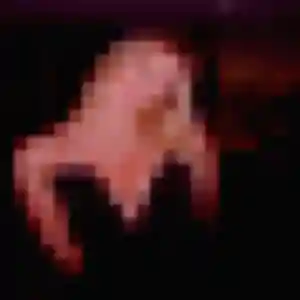 rencontre cougar à Champdeuil : photo de Corinne, 51 ans - accès libre