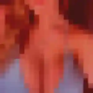 Photo perso de Patricia, 44 ans à Chanteix - plan discret