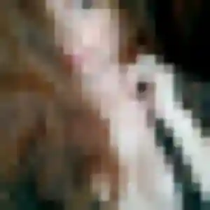 rencontre cougar à Chapet : photo de Marie-Christine, 52 ans - accès libre