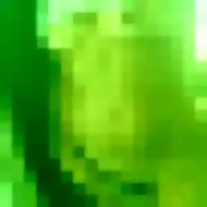Belle Genevieve, 42 ans à Charbonnier-les-Mines - la contacter