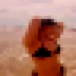 Profil de Genevieve à Charbonnières-les-Vieilles (41 ans) - rencontre cougar discret