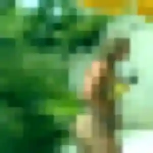 Beatrice (49 ans) à Charlieu cherche un rencontre cougar maintenant