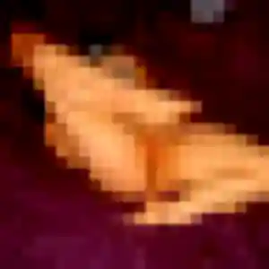 Stephanie, 36 ans, dispo pour rencontre cougar à Châteaumeillant