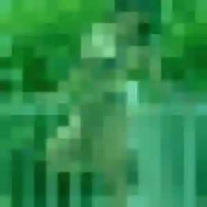 Profil de Lucette à Châtres (51 ans) - rencontre cougar gratuit