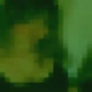 Nadine, 46 ans, connectée à Chaumes-en-Retz pour un rencontre cougar