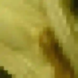 Dominique, 46 ans, cherche un rencontre cougar à Chepniers