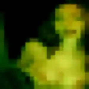 Photo sexy de Karine, 51 ans à Chevagnes - rencontre sans lendemain