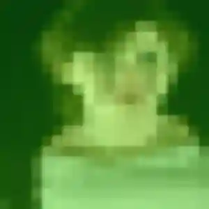 Profil de Sophie à Chonas-l'Amballan (50 ans) - rencontre cougar anonyme