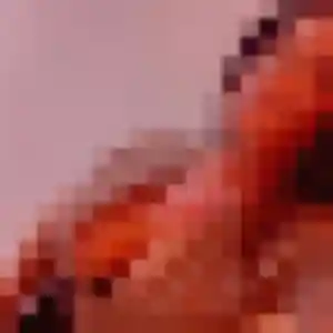 Elisabeth, 47 ans, connectée à Chorey-les-Beaune pour une rencontre coquine