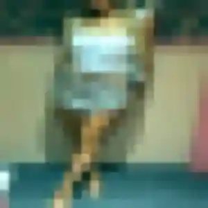 Liliane, 48 ans, disponible à Cluis pour un rencontre cougar