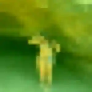 Lucette, 41 ans, en ligne à Cognac pour une rencontre coquine
