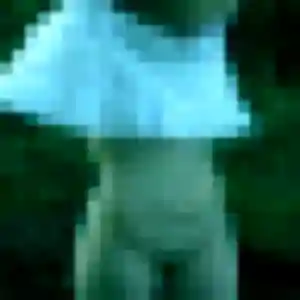 Photo perso de Lucette, 46 ans à Collemiers - rencontre coquine