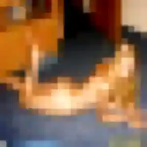 Photo privée de Karine, 54 ans à Compertrix - rencontre sans lendemain