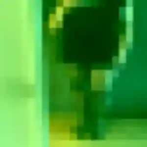 Photo privée de Mireille, 53 ans à Coquainvilliers - rencontre sans lendemain