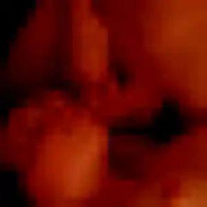 Sandrine, 51 ans, dispo pour rencontre cougar à Corbehem