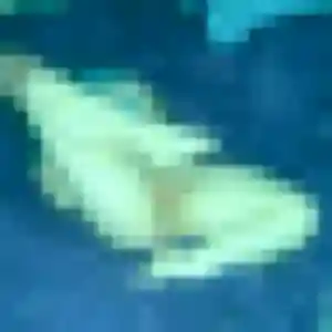 Stephanie, 39 ans, connectée à Corbonod pour une rencontre coquine