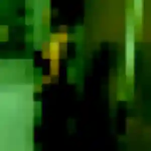 Nadine (53 ans) à Corsept propose une rencontre ce soir
